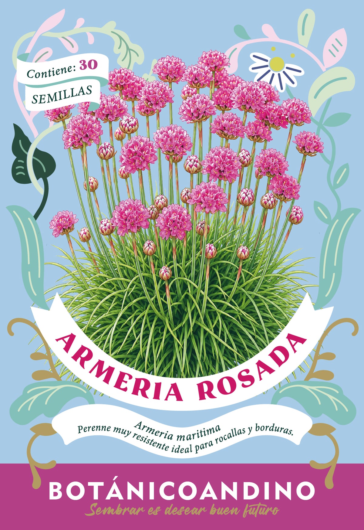 Armeria marítima