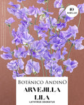 Arvejilla perfumada violeta (10 semillas)
