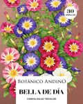 Bella de día
