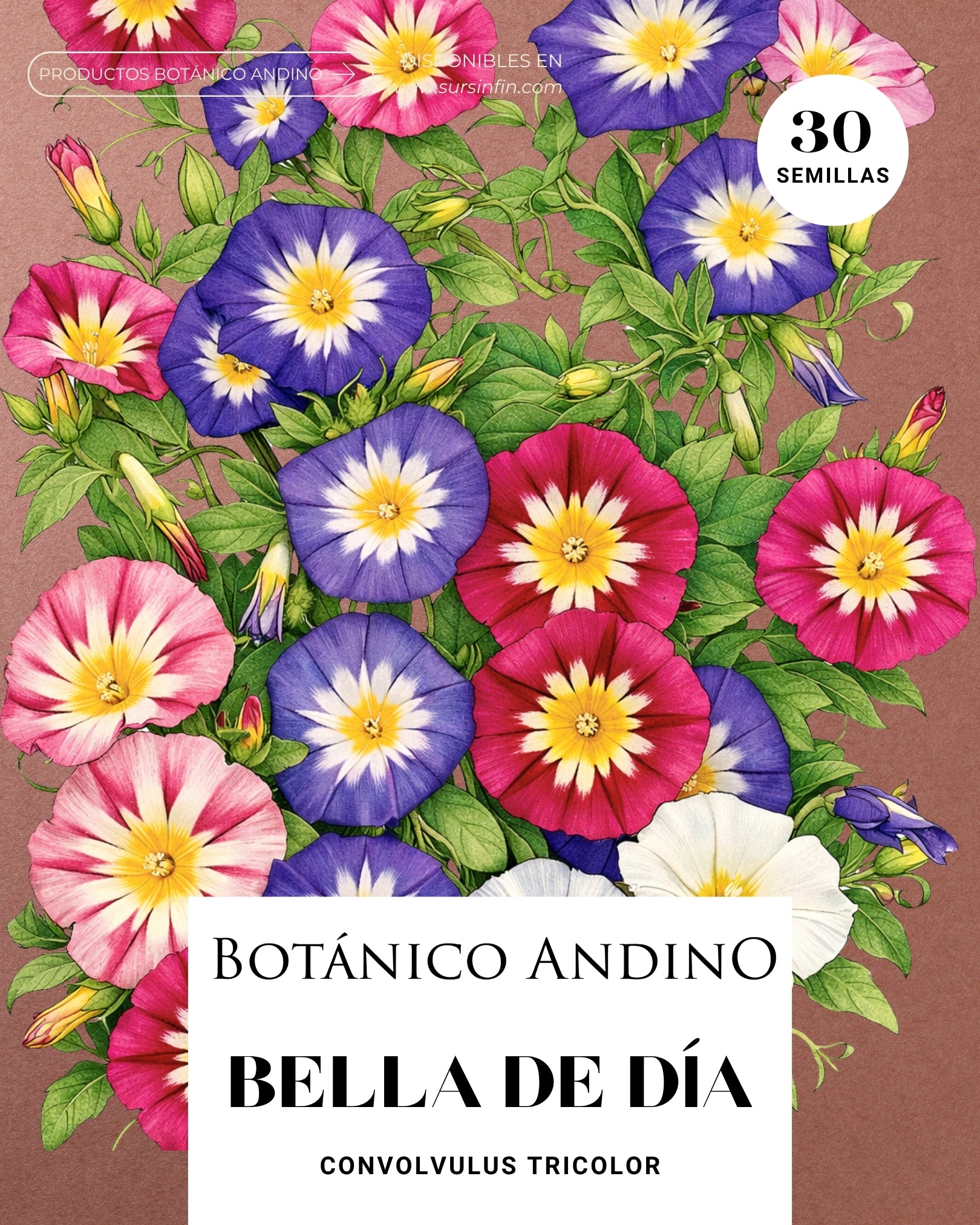 Bella de día