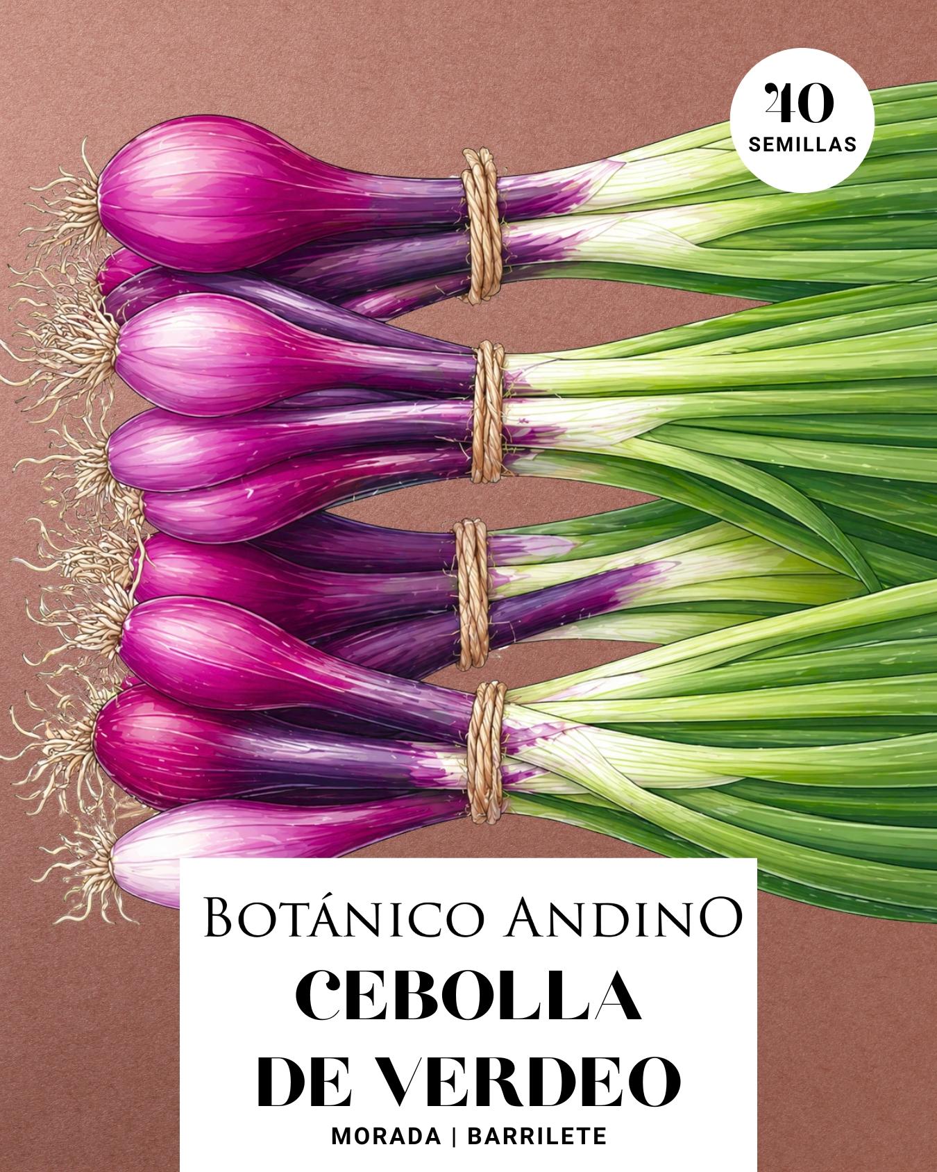 Cebolla de verdeo morada