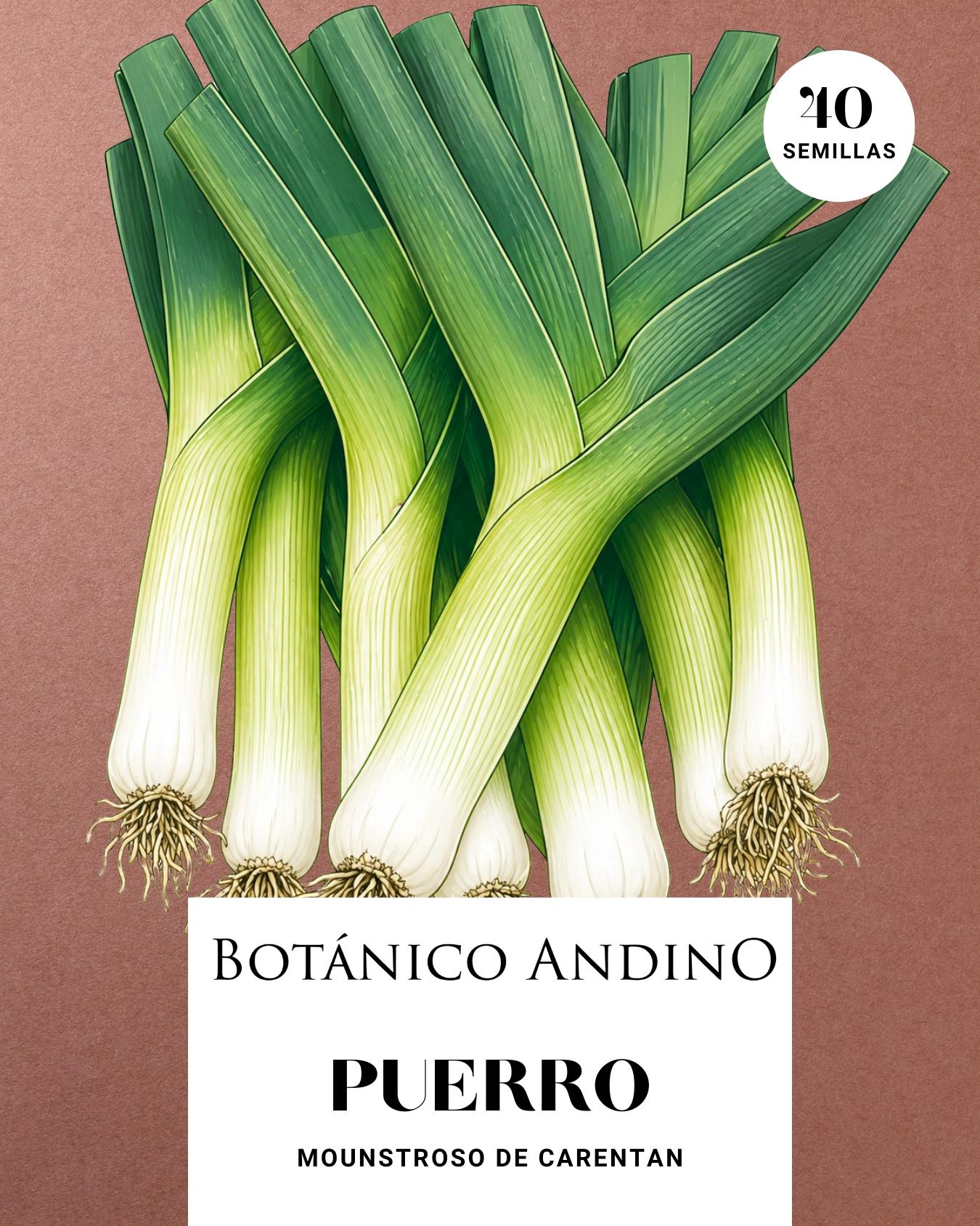Puerro