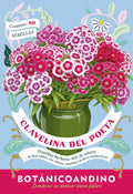 Dianthus barbatus