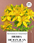 Hierba de San Juan