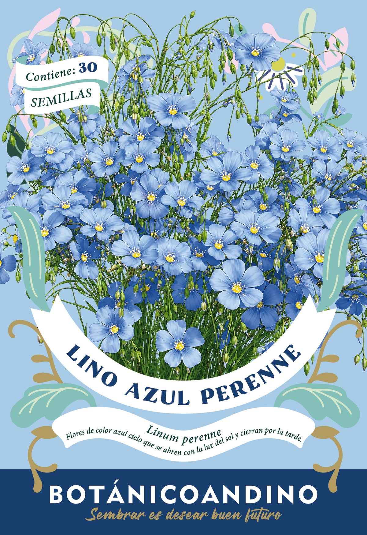Lino azul perenne