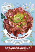Lechuga maravilla de las 4 estaciones