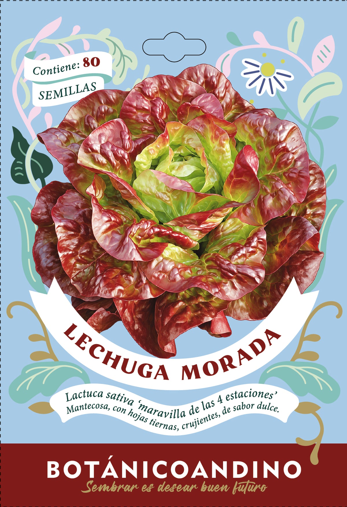 Lechuga maravilla de las 4 estaciones