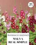 Malva real mix