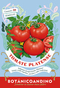 Tomate platense