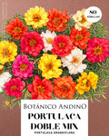Portulaca doble mix