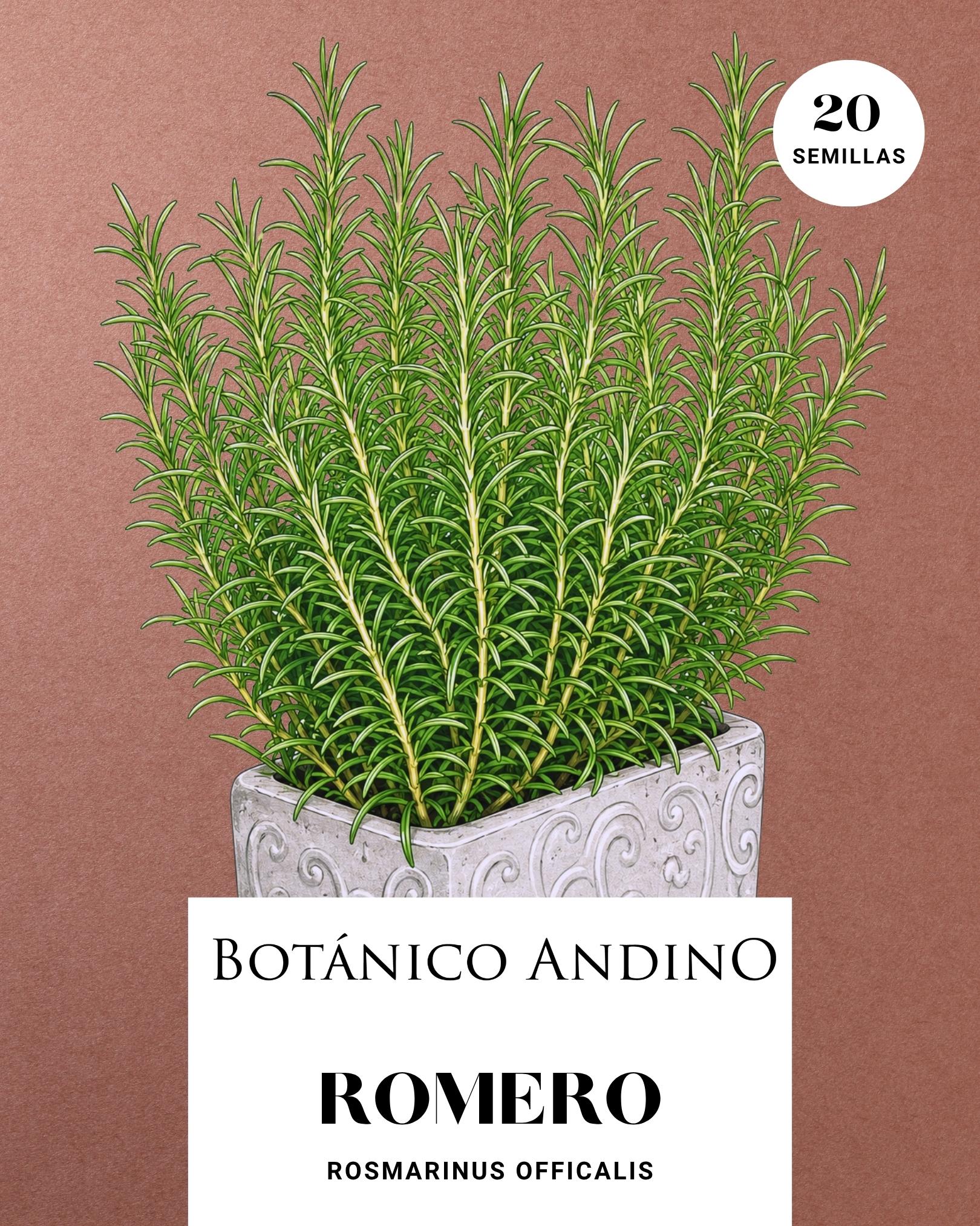 Romero