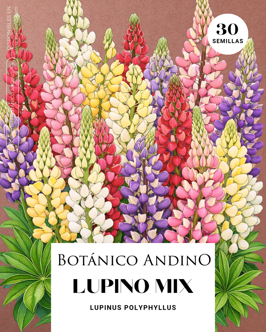 Lupino mezcla