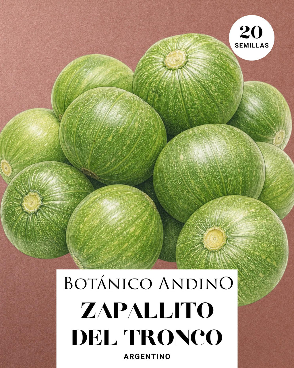 Zapallito del tronco (20 semillas)